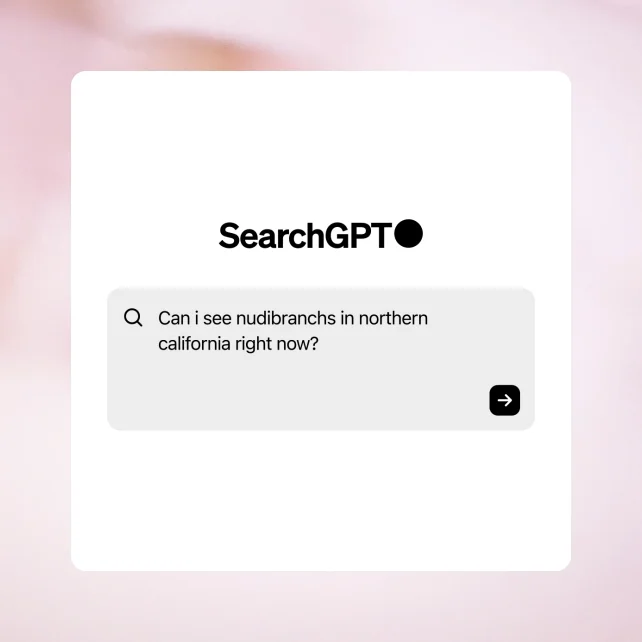 search gpt